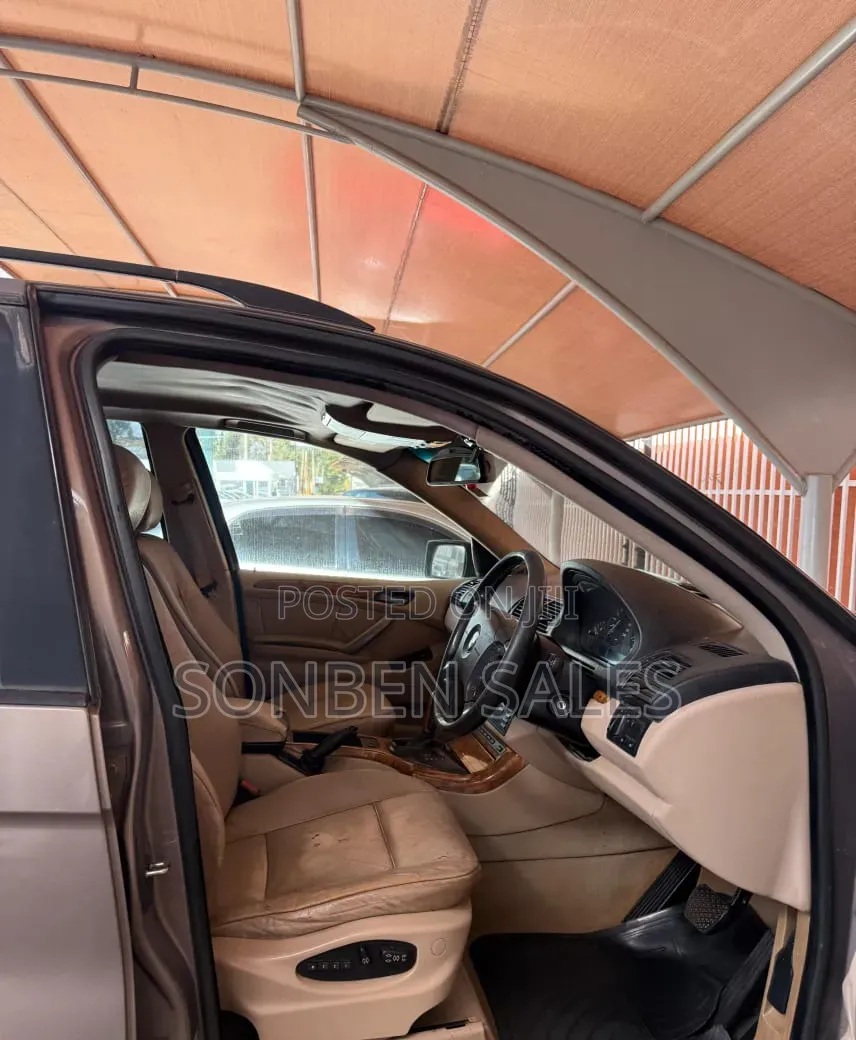 BMW X5 3.0i Activity Automatic 2007 Gray