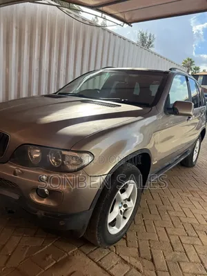 BMW X5 3.0i Activity Automatic 2007 Gray