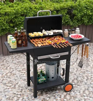 FT02 Charcoal BBQ Grill