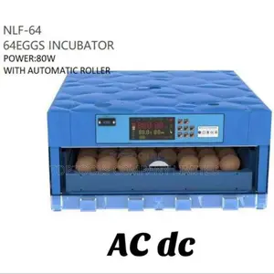 AC Dc 64eggs Incubator 80watts With Automatic Roller