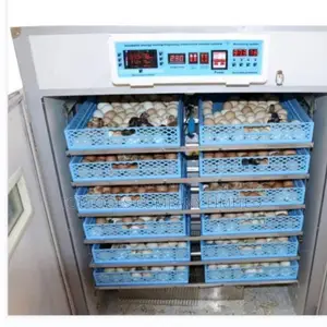 Egg Incubator 528eggs With Automatic Roller AC Dc
