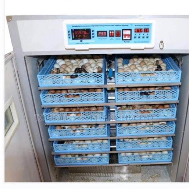 Egg Incubator 528eggs With Automatic Roller AC Dc - main view