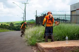 Kiserian Hedge & Fence Cutting