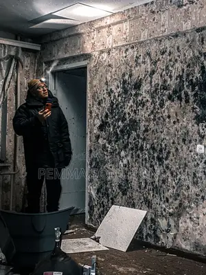 Reliable Cold Room Repair – Karen