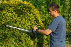Quick Overgrown Hedge Clearing Near Ngong