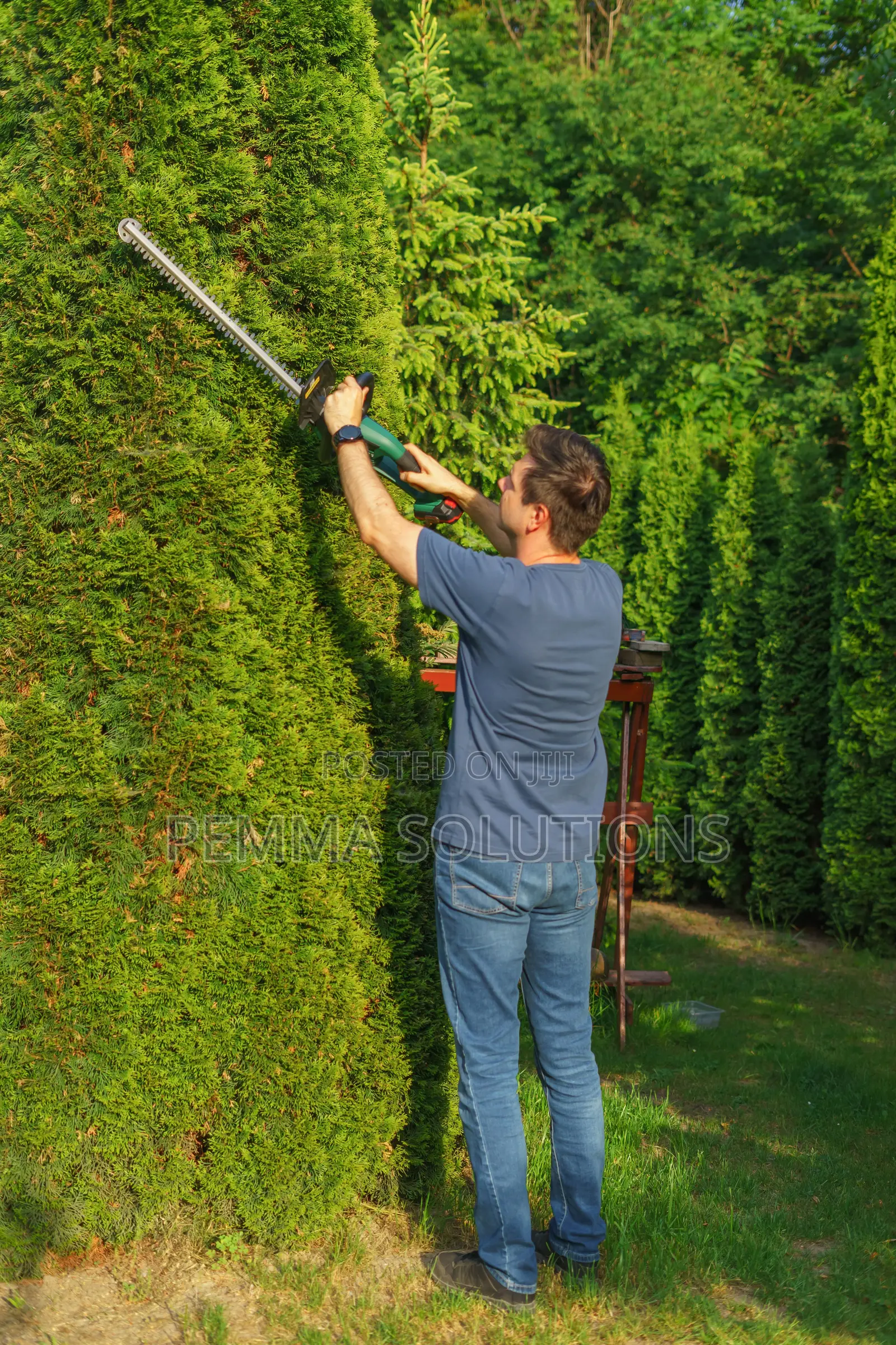 Trusted Garden Hedge Trimming Serving Lang'ata