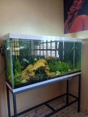 Aquarium Sale