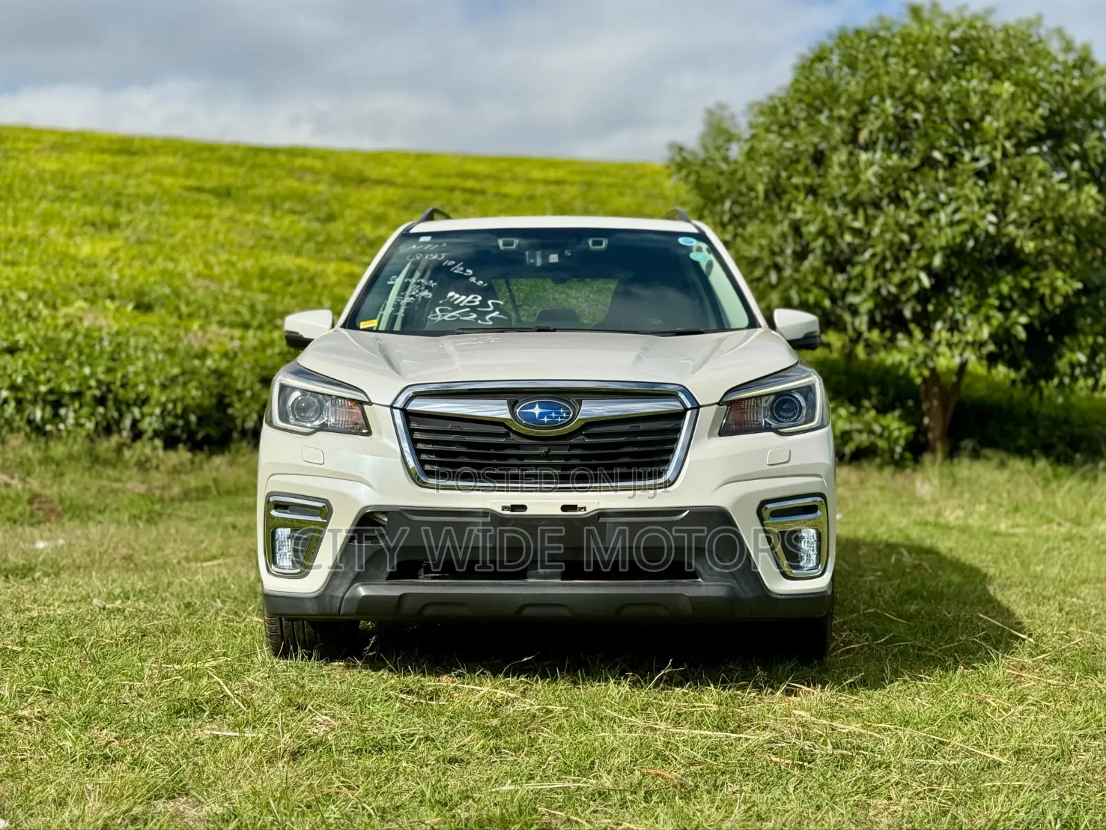 Subaru Forester 2019 White
