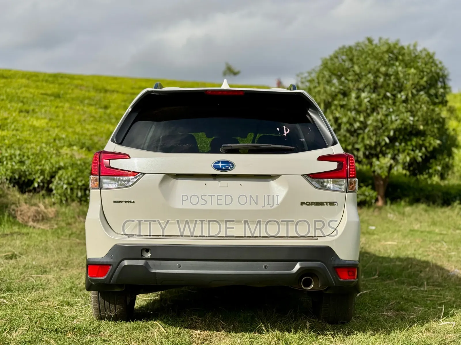 Subaru Forester 2019 White