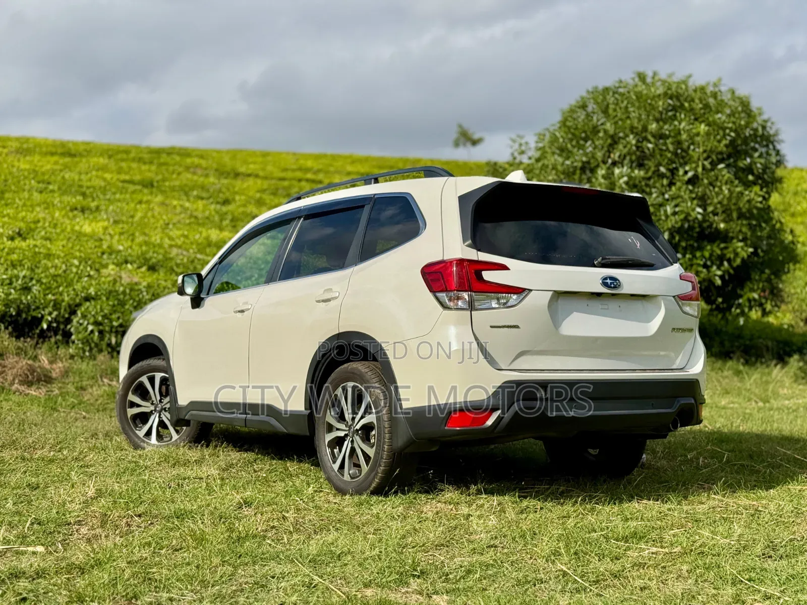 Subaru Forester 2019 White