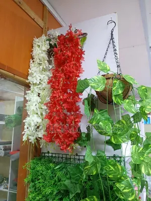 Unique Colours for Hanging Vines Decoration