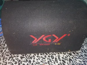 12 Inches Ygy-Tube Base Speaker