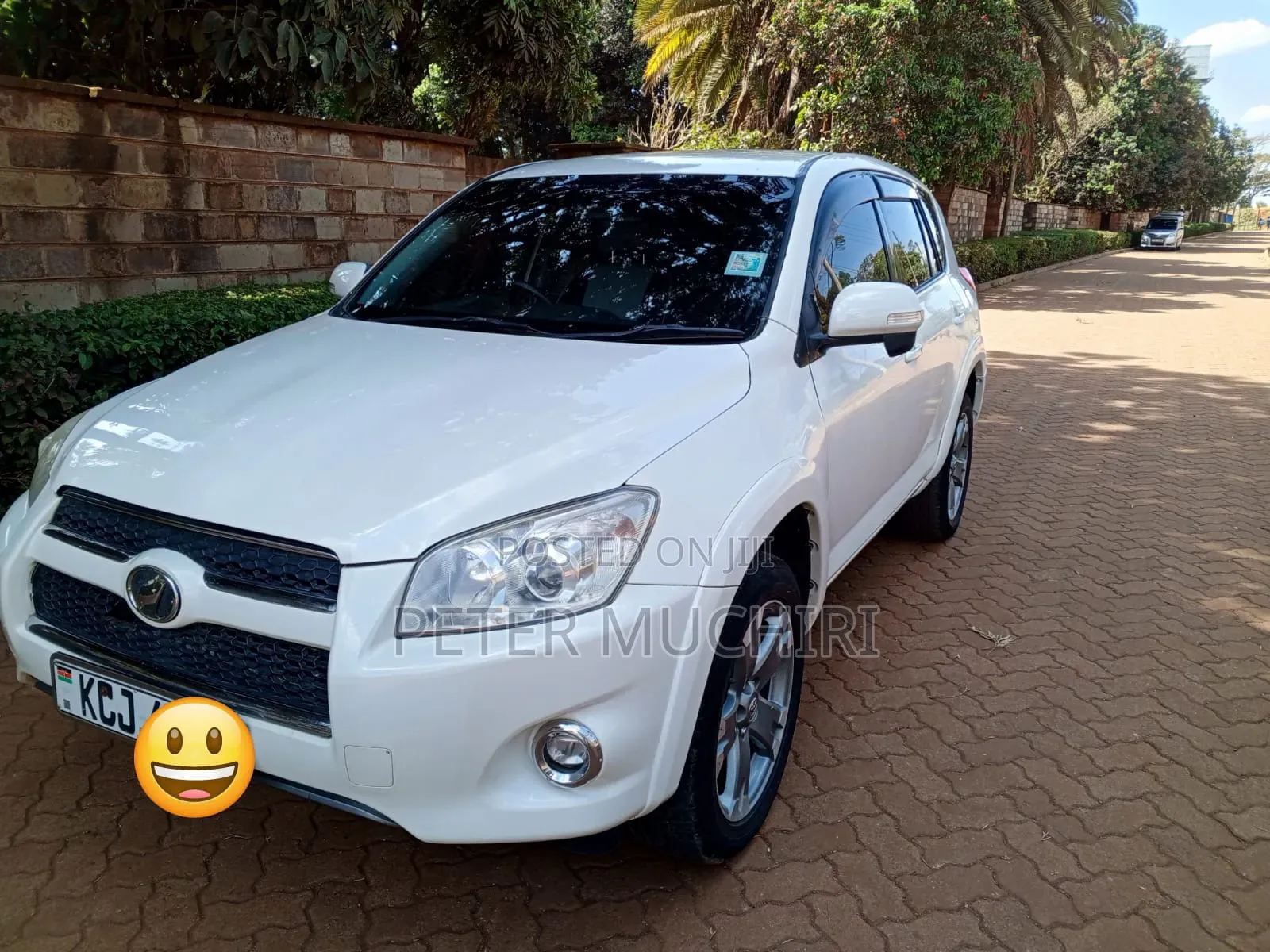 Toyota RAV4 2009 Pearl