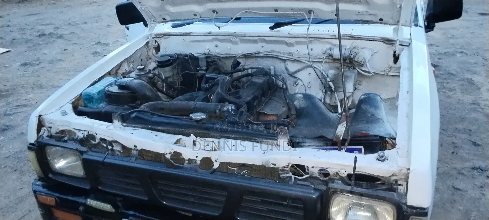 Nissan Hardbody 1999 White