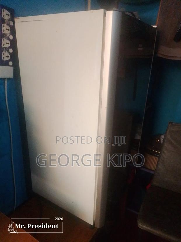 Fridge in Kitchen - main view