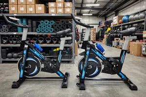 Professional Indoor Cycling Bike for Cardio Workouts