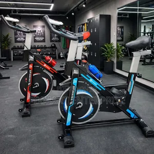 Home Gym Spin Bike for Daily Exercise and Fitness