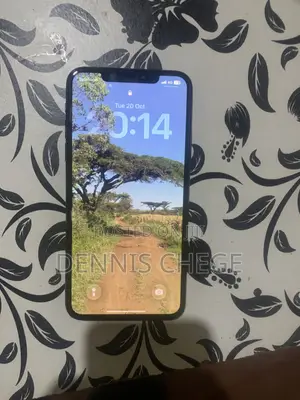 Apple iPhone 11 Pro Max 512 GB Green