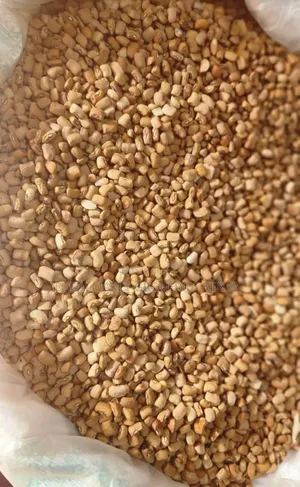 Nigerian Honey Beans