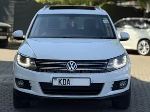 Volkswagen Tiguan 2013 Gray