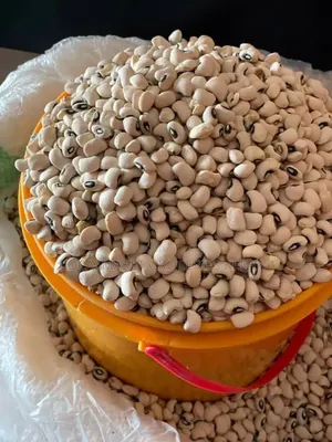 Nigerian Iron Beans (White Beans)
