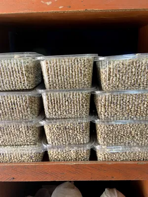 Nigerian Iron Beans (White Beans)