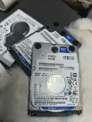 WD Blue 1TB SATA Hard Drive for PC