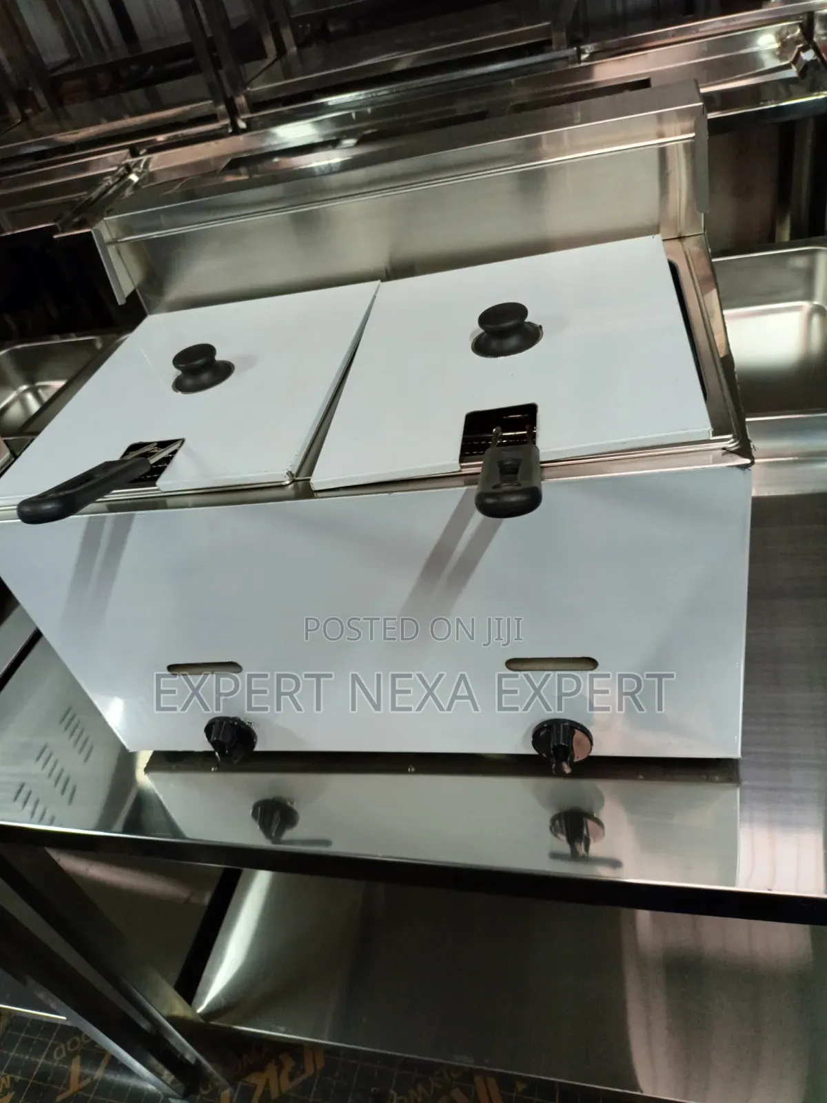 Double Gas Fryer