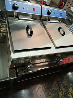 Electric Double Fryer 16L Each Tank