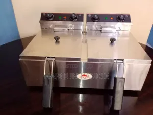 Heavy Duty Caterina Electric Deep Fryer