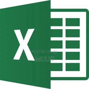 Advance Ms Excel Training