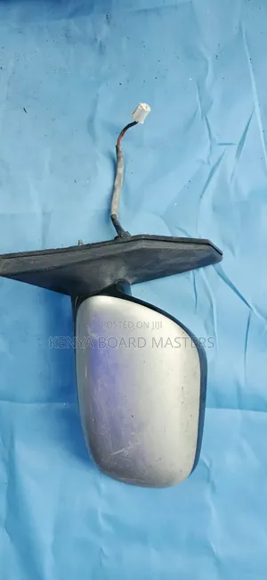 NZE 2002 Side Mirror