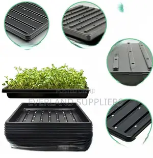 Slotted Hydroponic Growing Trays - With Holes