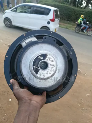 Bass Speaker