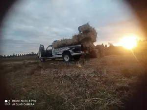 Pick-Up Services