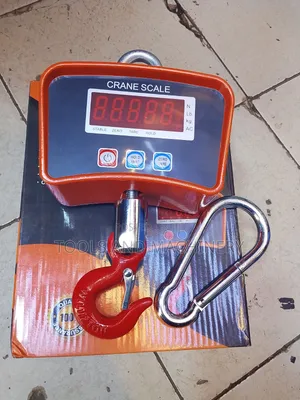500kgs Heavy Duty Crane Weighing Scale/500kgs Weighing Scale