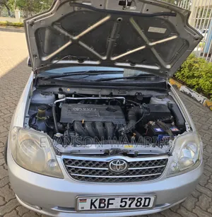 Toyota Corolla RunX 2004 Silver