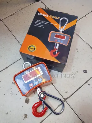 Durable Crane Weighing Scale/500kgs Crane Weighing Scale