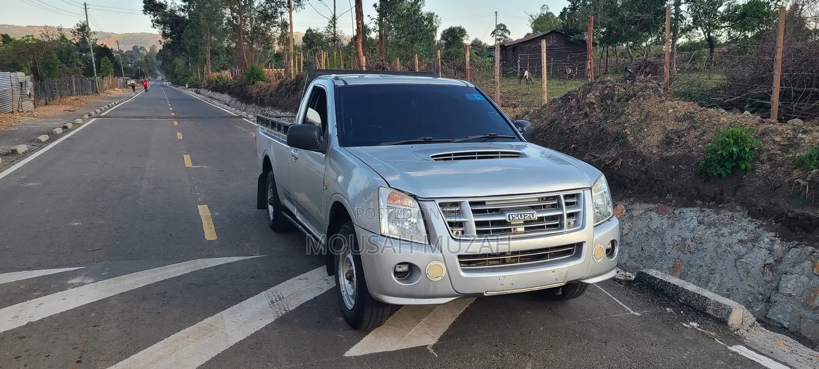 Isuzu D-MAX 2010 Silver