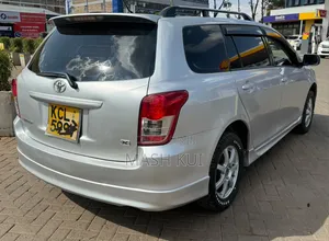 Toyota Corolla Fielder 2010 Silver