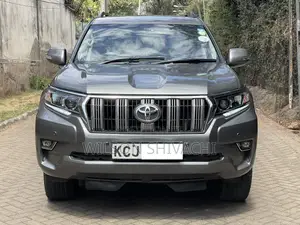 Toyota Land Cruiser Prado 2011 Gray