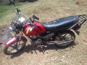 TVS HLX Plus ES 2024 Red