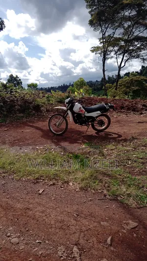 Yamaha DT125 2004 White