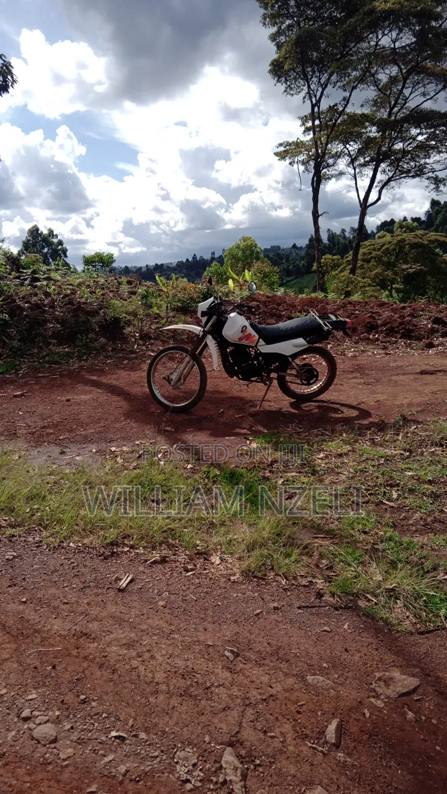 Yamaha DT125 2004 White