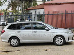 Toyota Corolla Fielder 2019 Silver