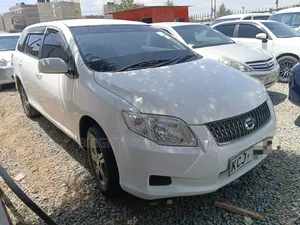 Toyota Corolla Fielder 2010 White