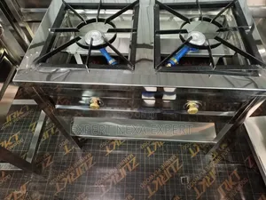Stainless Steel 2 Burner