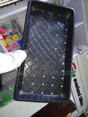Hydroponic Trays With Repeated Hole Patterns