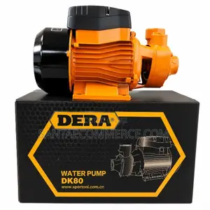 Dera 0.5HP Electrical Water Pump Water Dispenser
