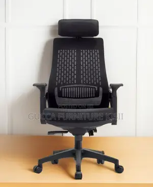 Aurora High Back Mesh Orthopedic Swivel Chair